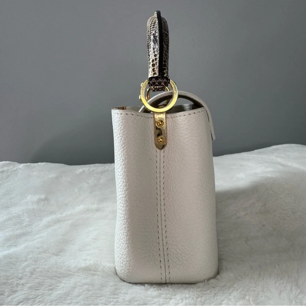 Louis Vuitton Taurillon & Python Leather Capucines Mini Handbag - Picture 6 of 16